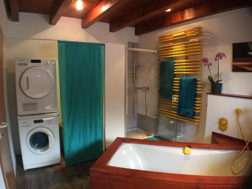 リングスハイムにあるFerienwohnung Alte B3のバスルーム(バスタブ、洗濯機付)