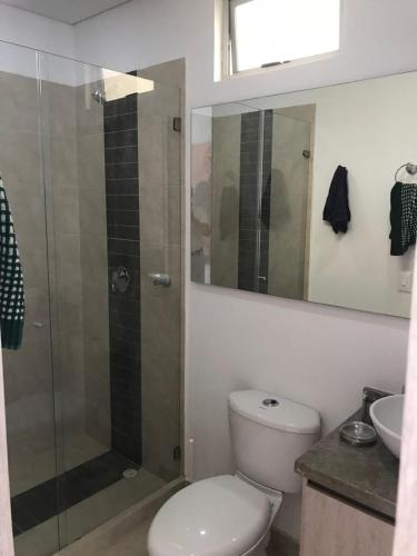 a bathroom with a shower and a toilet and a sink at Girardot Deluxe in Girardot