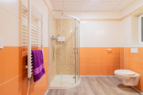 a bathroom with a shower and a toilet at Aparthotel DKS in Chomutov