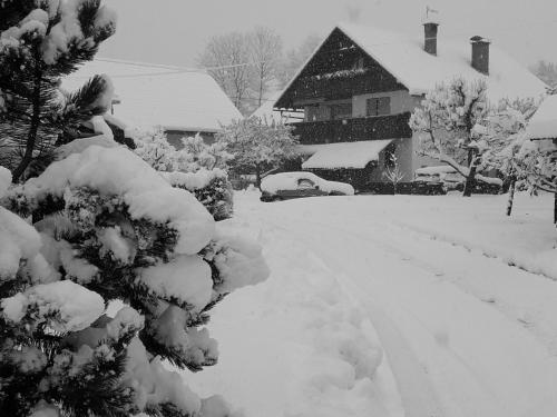 a yard covered in snow next to a house at Snežak (Snowman) in Bohinj