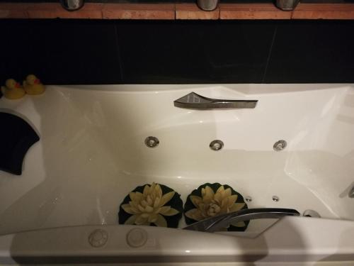 a bath tub with two green plants in it at Habitación con garage in Bilbao