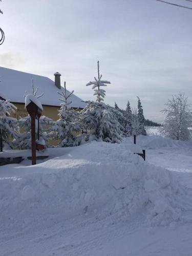 a snow covered yard with a house and trees at Pension Tofalvi in Harghita-Băi