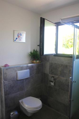 une salle de bain avec toilettes et douche dans l'établissement Résidence U Rapalinu, à Molini