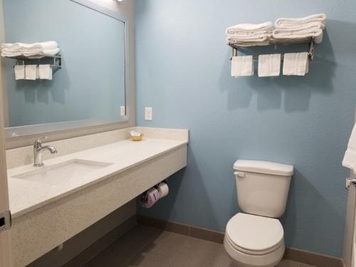 a bathroom with a sink and a toilet and a mirror at The Residency Suites in Houston
