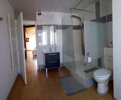 La salle de bains est pourvue de toilettes, d'une douche et d'un lavabo. dans l'établissement LE POINT DU JOUR, à Saint-Savin