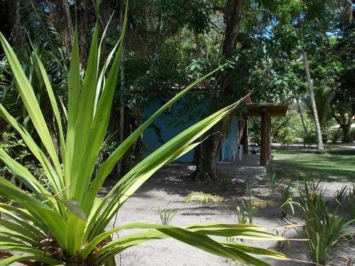 Taman di luar Onça 1024