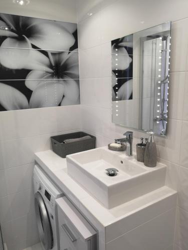 y baño con lavabo, espejo y lavadora. en Park Apartment 216, en Strzelce Opolskie
