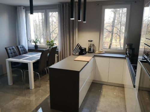 a kitchen with a counter and a table with chairs at Park Apartment 216 in Strzelce Opolskie