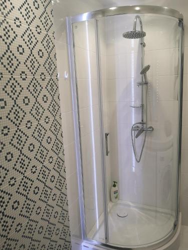 a shower with a glass door in a bathroom at Park Apartment 216 in Strzelce Opolskie