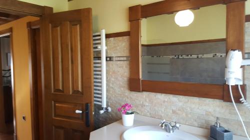 La salle de bains est pourvue d'un lavabo et d'un miroir. dans l'établissement Camin de los Collaos, à Cangas de Onís