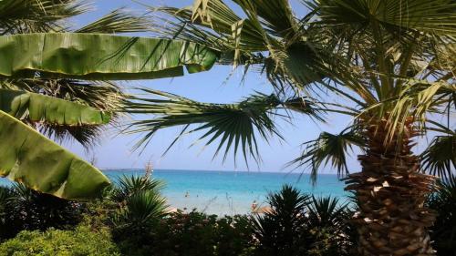 a view of the beach through the leaves of a palm tree at Villa Emiliana in Paralimni