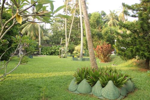 a park with a bunch of plants in the grass at Villa Ranmenika in Ahungalla