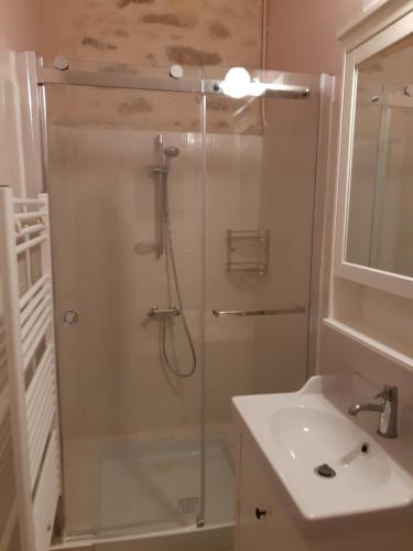 ein Bad mit einer Dusche und einem Waschbecken in der Unterkunft Bastida in Saint-Macaire