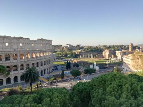 Colosseum Palace Star – Photos 4
