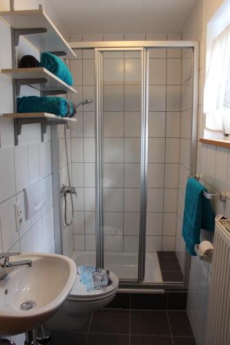 e bagno con doccia, servizi igienici e lavandino. di Apartment Rietheim a Rietheim-Weilheim