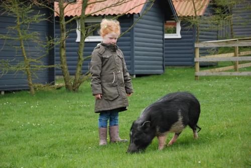 a little girl standing next to a black pig at Hytteby – Hanstholm Camping – Thy Feriepark in Hanstholm