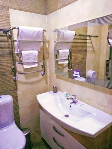 a bathroom with a sink and a toilet and a mirror at Bereke Hotel in Shchūchīnsk