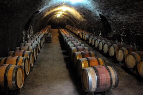 a row of wine barrels in a tunnel at Villa Rose in Escolives-Sainte-Camille