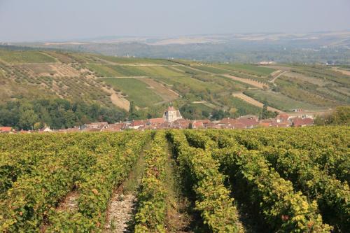 Villa Rose – Photos 2