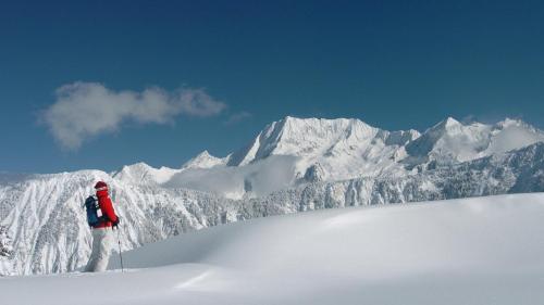 a person on skis standing on a snow covered mountain at Appartement d'Exception - Jardin Alpin - Courchevel 1850 in Courchevel