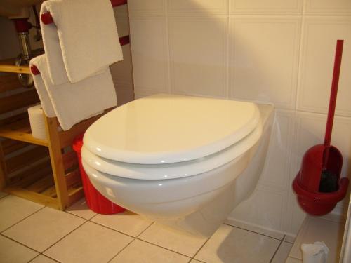 a bathroom with a white toilet in a room at Ferienidyll Aumühle, "Bebenburg" in Rot am See