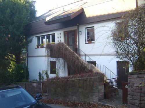 バーデン・バーデンにあるGarden Apartmentの大きな根こそぎにされた家