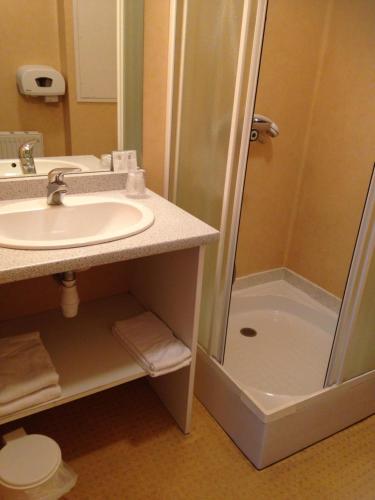 a bathroom with a sink and a shower at HOTEL DU JURA in Louhans