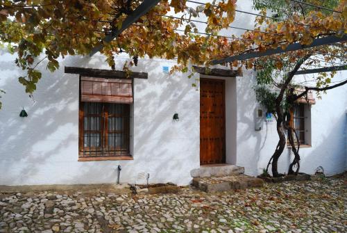Casa Rural El Tinte (España Grazalema) - Booking.com