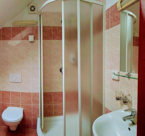 a bathroom with a shower, toilet and sink at Residence Tabor in Prague