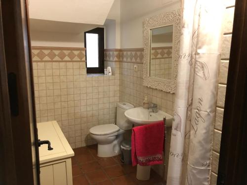 Un baño con inodoro, lavabo y espejo. en Cercado Forero, en Cortegana