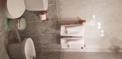 a bathroom with a toilet and a bunch of towels at Casa Rural Tío Carlillos in Hoyos del Espino