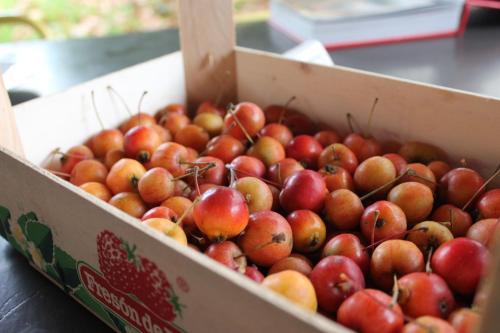 a box of apples sitting on a table at Aritza Apartamentos Turísticos Rurales in Elizondo