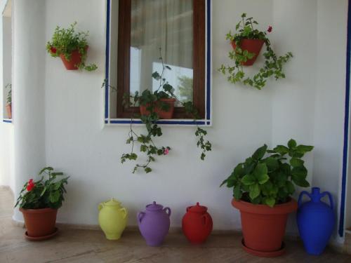 a group of vases lined up against a wall with plants at Eden Hotel in Bodrum City