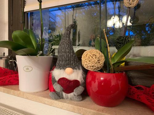 a couple of vases sitting on a shelf with plants at Ferienhaus zur Waldauer Höhe mit 3 SZ, 120qm & 40qm Balkon in Schleusingen