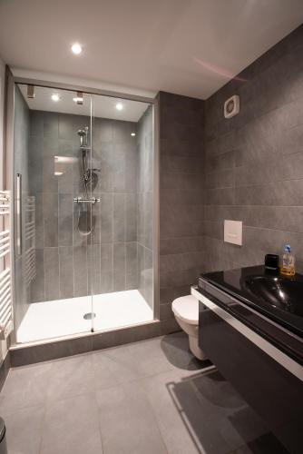 une salle de bain avec une douche, des toilettes et un lavabo dans l'établissement Mintaka Apartment - Chamonix, à Chamonix-Mont-Blanc