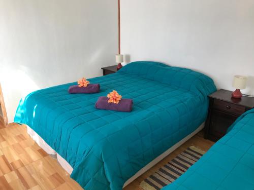 Postel nebo postele na pokoji v ubytování HARÉ MANU Rapa Nui