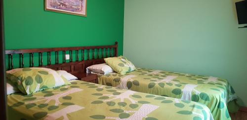 オヨス・デル・エスピーノにあるCasa Rural Galayosの緑の壁のドミトリールーム ベッド2台