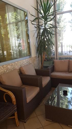 a living room with wicker furniture and a palm tree at Hotel De La Plage in Rimini