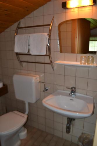 a bathroom with a sink and a toilet and a mirror at Ellmauhof in Pfarrwerfen