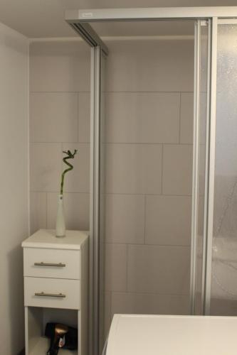 a bathroom with a shower and a vase with a plant at Inside Apartments Speyer in Speyer