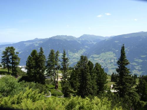 a group of trees in a field with mountains in the background at Haus Binder in Ried im Zillertal