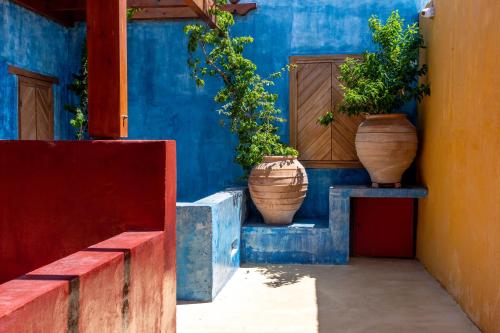 three potted plants sitting on a blue wall at 10GR Boutique Hotel & Wine Bar in Rhodes Town