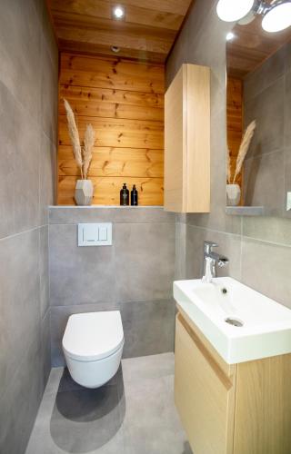 a bathroom with a white toilet and a sink at Riverside luxury suites in Rovaniemi