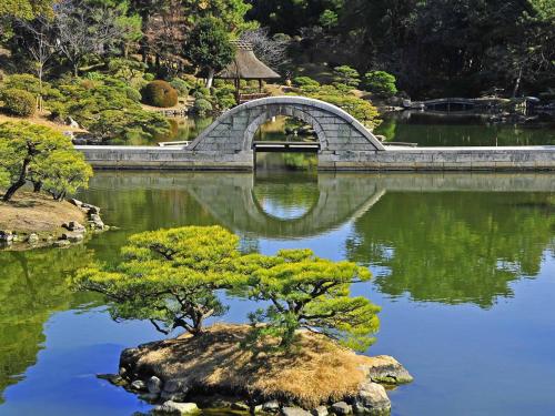 a bridge in a garden with a tree in the water at Kimatsu Ryokan in Hiroshima