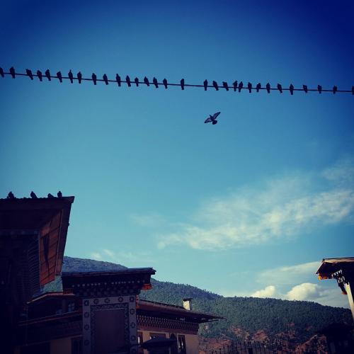 Hotel Norpheling – Photos 4