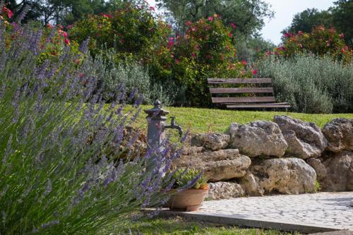 Κήπος έξω από το Casale in Teverina