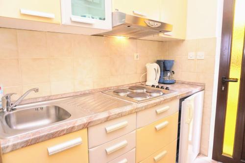 eine kleine Küche mit einer Spüle und einer Arbeitsplatte in der Unterkunft Apartment Marina in Savudrija