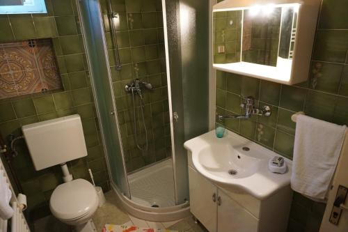 ein Bad mit einem WC, einem Waschbecken und einer Dusche in der Unterkunft Apartment Vilma 2 in Bašanija