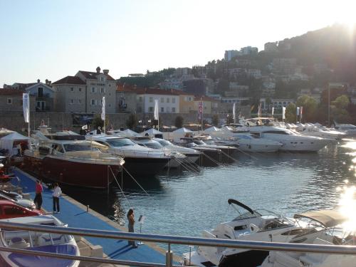 a bunch of boats are docked in a harbor at Apartments Aleksić Old Town in Budva