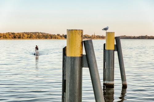 a person on a boat in the water at Hotel Prinz Heinrich in Werder